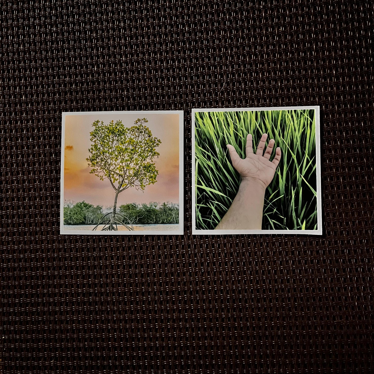 Small Photo Magnets - Single