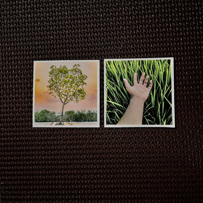 Small Photo Magnets - Single